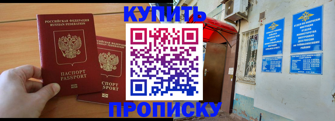 прописка штамп в Борзе